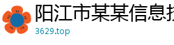 阳江市某某信息技术维修网点